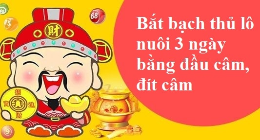 Bí kíp bắt bạch thủ lô nuôi 3 ngày bằng phương pháp đầu đuôi câm